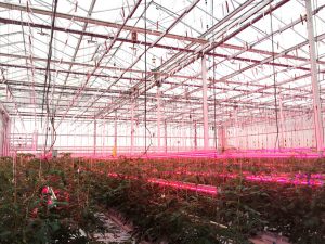 plaatje bij Infrarood is het nieuwe ultraviolet