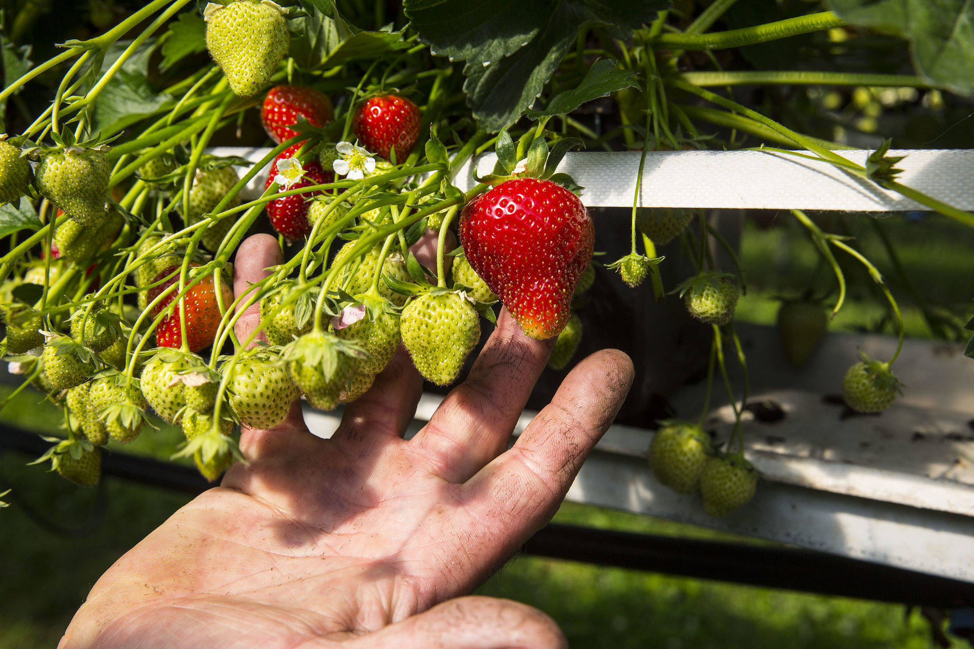 plaatje bij Testproject nummer 1